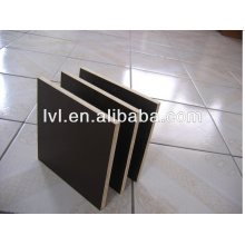 21mm Laminated Plywood/Laminated Marine Plywood to Middle East